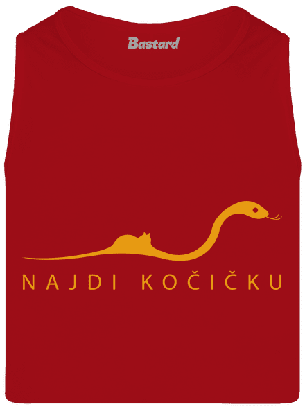 Najdi kočičku