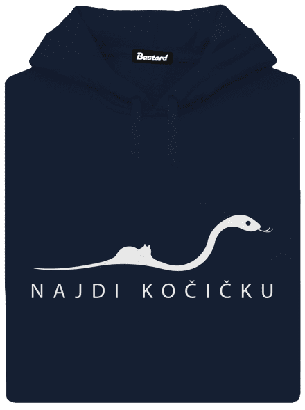 Najdi kočičku