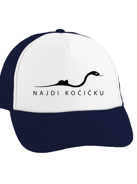 Najdi kočičku