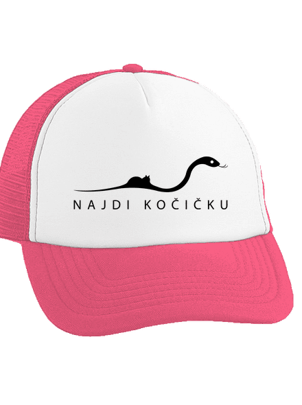 Najdi kočičku