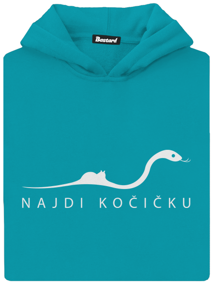 Najdi kočičku