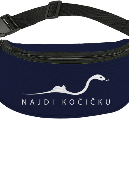 Najdi kočičku