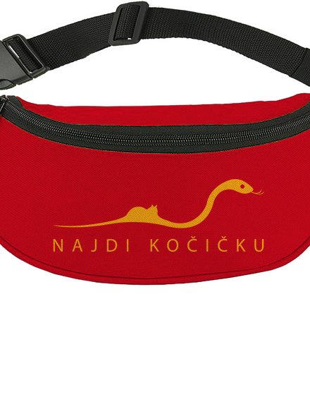 Najdi kočičku