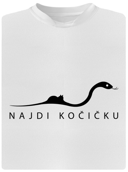 Najdi kočičku