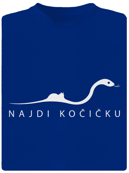 Najdi kočičku