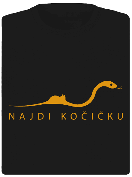 Najdi kočičku