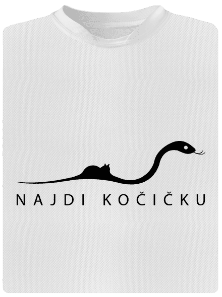 Najdi kočičku