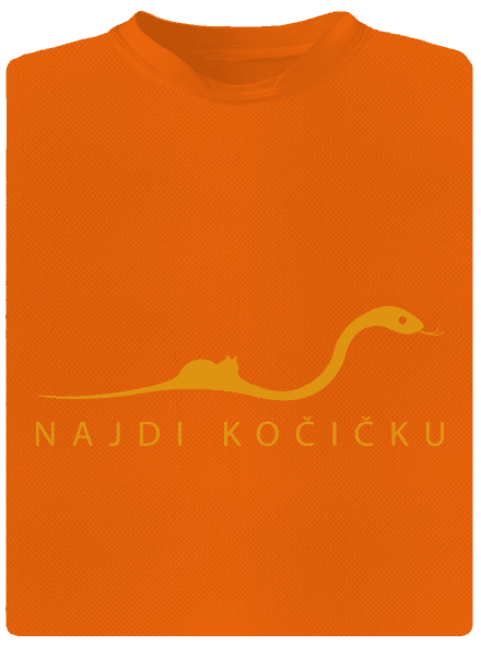 Najdi kočičku
