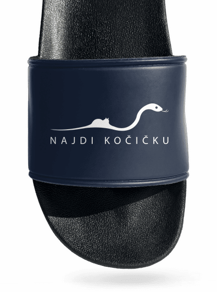 Najdi kočičku