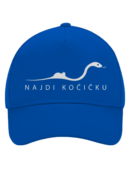 Najdi kočičku