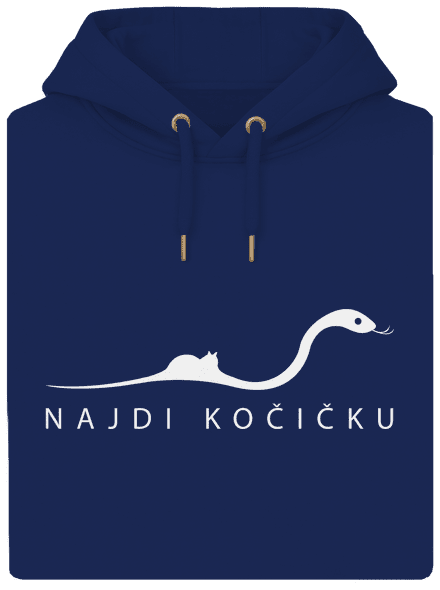 Najdi kočičku
