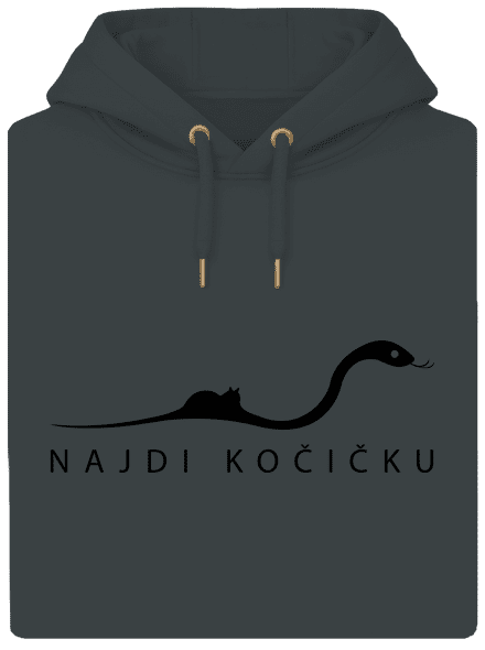Najdi kočičku
