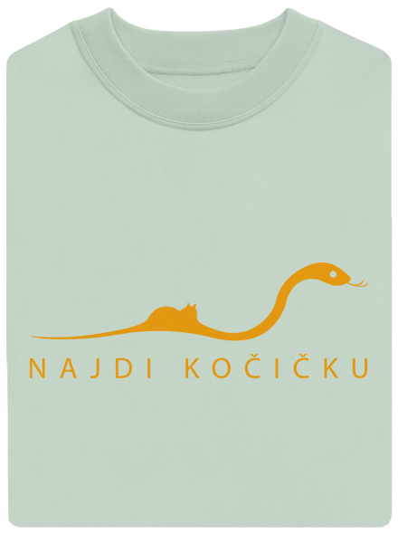 Najdi kočičku