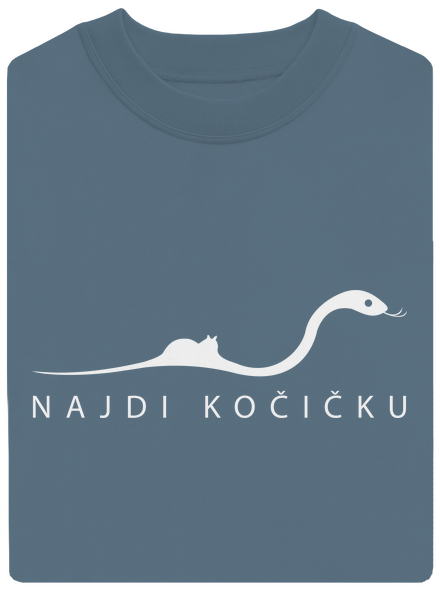 Najdi kočičku