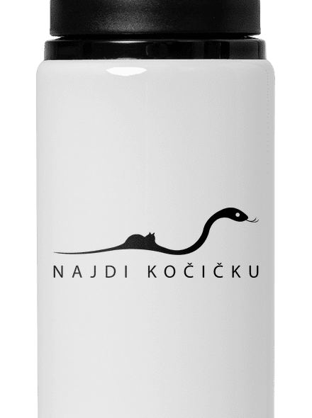 Najdi kočičku