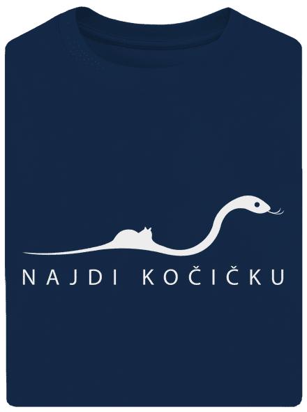 Najdi kočičku