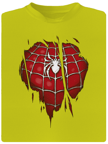 Spider Inside