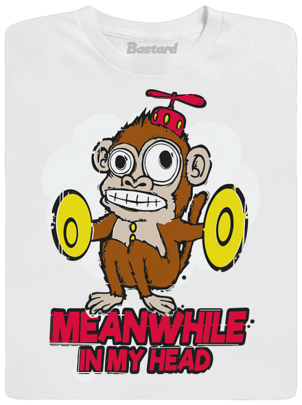 Monkey in my head