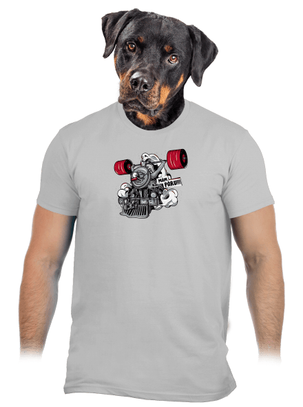 Lokomotiva pánské tričko Pacific Grey