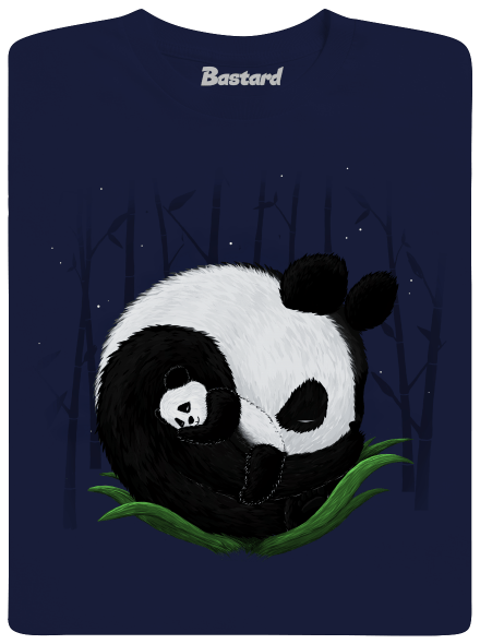 Dvě spící pandy