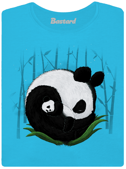 Dvě spící pandy