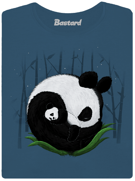 Dvě spící pandy