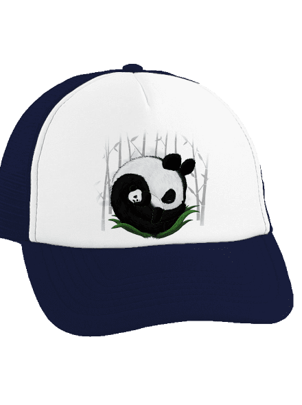 Dvě spící pandy