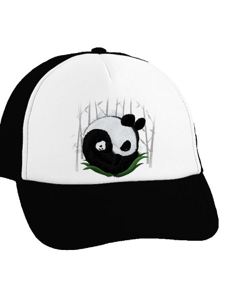 Dvě spící pandy