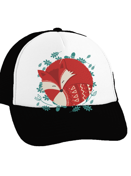 Spící liška kšiltovka  Black cap