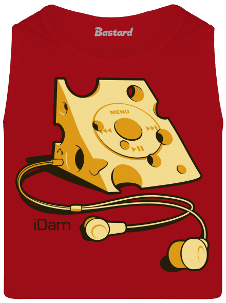 iDam