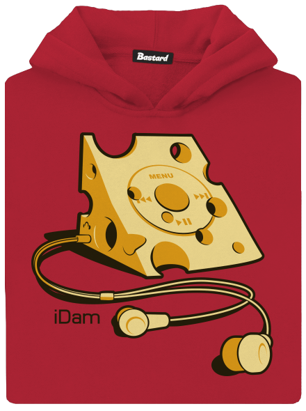 iDam