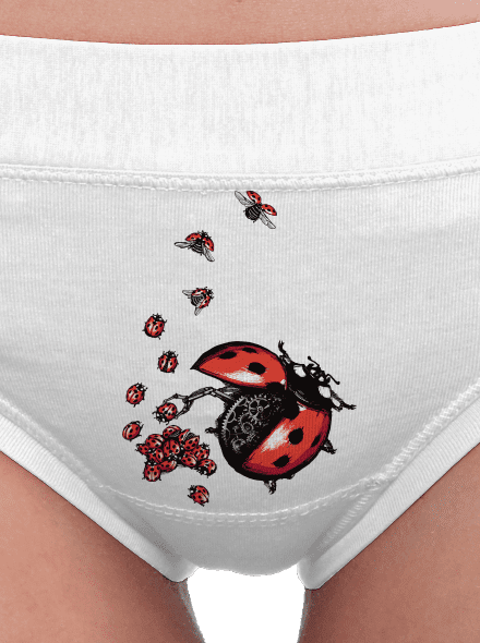 Ladybird Factory