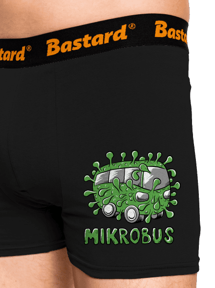 Mikrobus