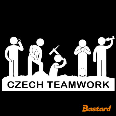 Czech Teamwork