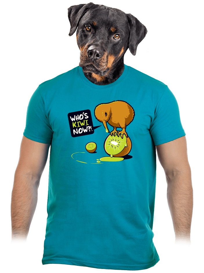 Kiwi pánské tričko
