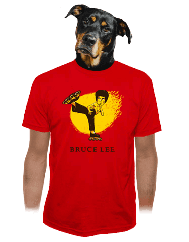 Bruce Lee pánské tričko