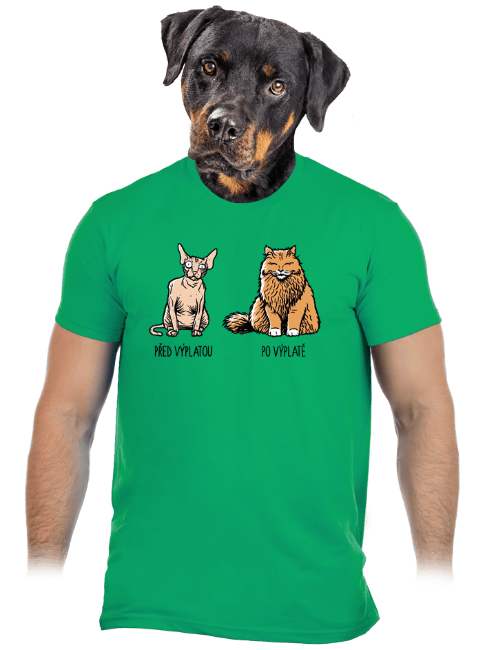 Kočka před výplatou zelené pánské tričko