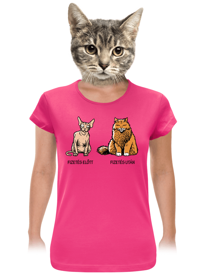 _Kočka před výplatou HU dámské tričko