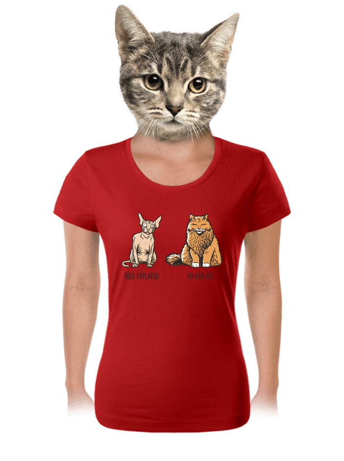 Kočka před výplatou dámské tričko