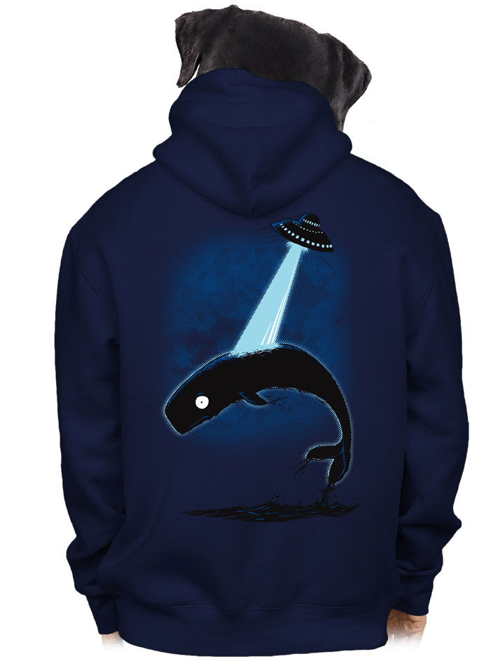 Big Fish pánská mikina – záda