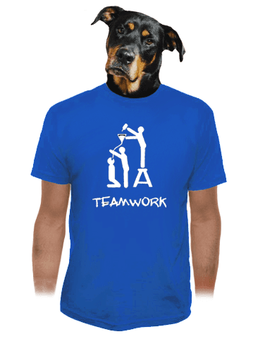 TeamWork modré pánské tričko